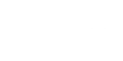 Dyne 33